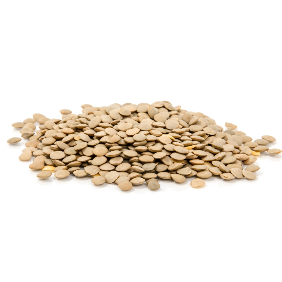 Lentilles brunes